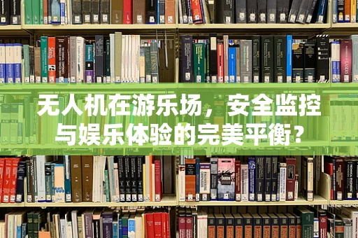 无人机在游乐场，安全监控与娱乐体验的完美平衡？