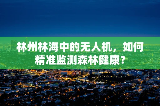林州林海中的无人机，如何精准监测森林健康？