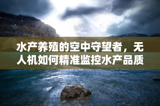 水产养殖的空中守望者，无人机如何精准监控水产品质量？