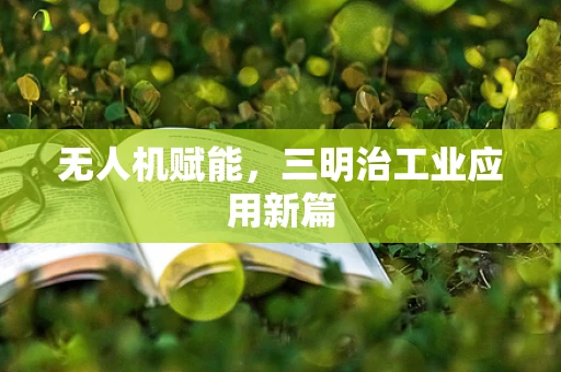 无人机赋能，三明治工业应用新篇