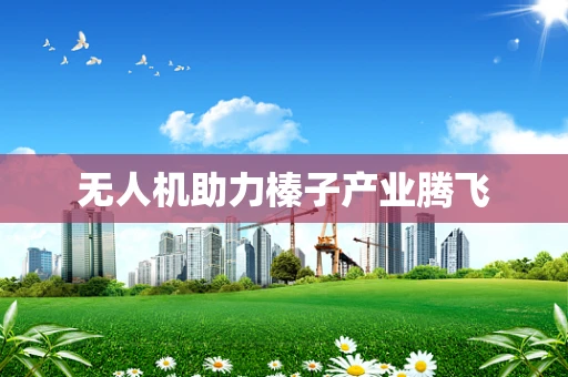 无人机助力榛子产业腾飞