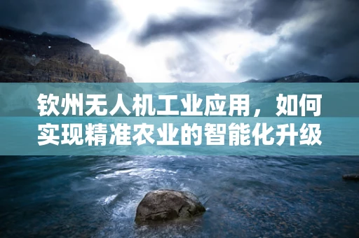 钦州无人机工业应用，如何实现精准农业的智能化升级？