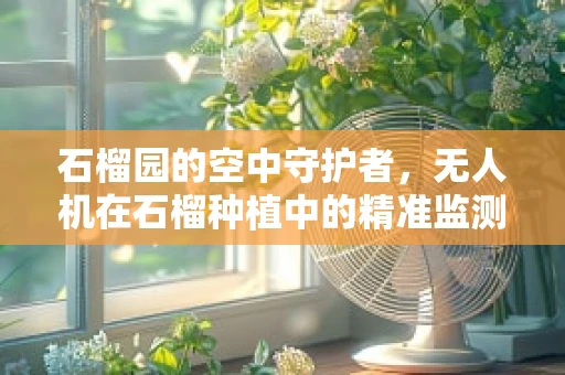 石榴园的空中守护者，无人机在石榴种植中的精准监测挑战