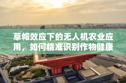 草帽效应下的无人机农业应用，如何精准识别作物健康状态？