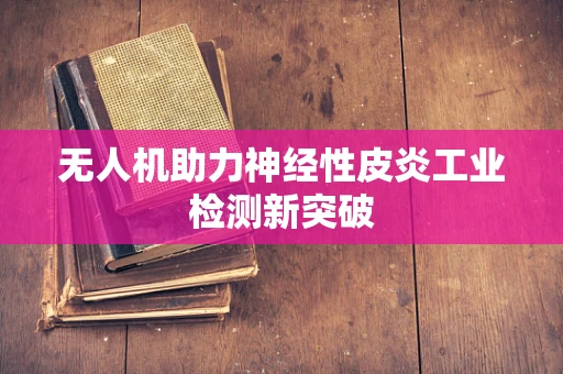 无人机助力神经性皮炎工业检测新突破