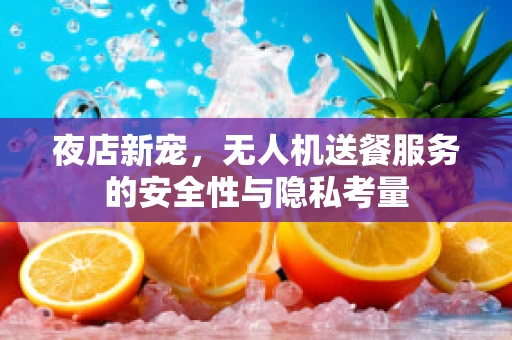 夜店新宠，无人机送餐服务的安全性与隐私考量
