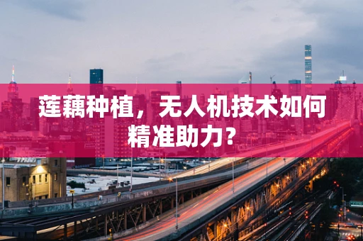 莲藕种植，无人机技术如何精准助力？