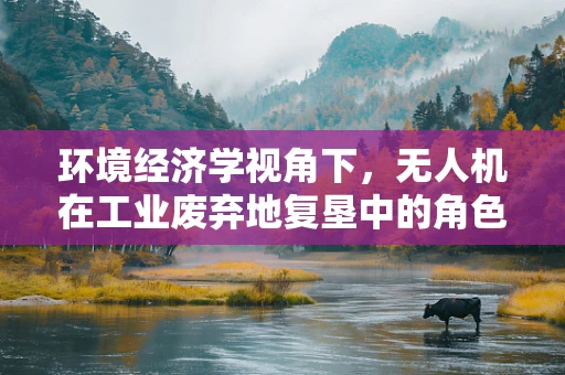环境经济学视角下，无人机在工业废弃地复垦中的角色与挑战