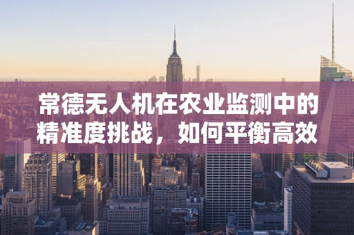 常德无人机在农业监测中的精准度挑战，如何平衡高效率与数据准确性？