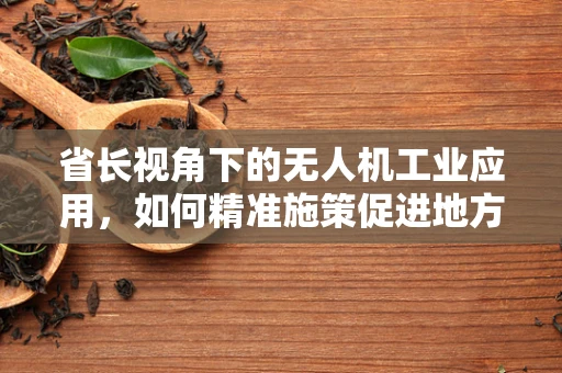 省长视角下的无人机工业应用，如何精准施策促进地方经济发展？
