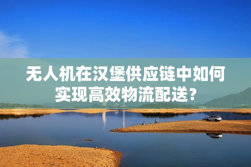 无人机在汉堡供应链中如何实现高效物流配送？