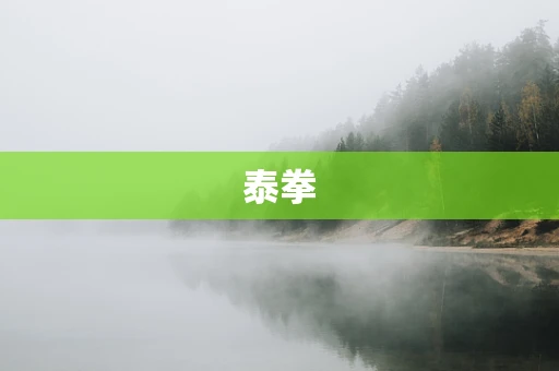 泰拳