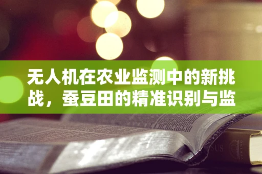 无人机在农业监测中的新挑战，蚕豆田的精准识别与监测