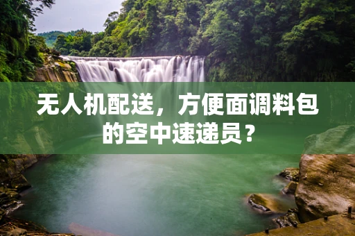 无人机配送，方便面调料包的空中速递员？