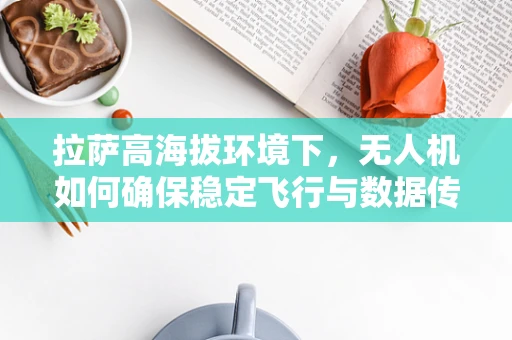 拉萨高海拔环境下，无人机如何确保稳定飞行与数据传输？