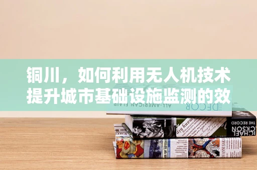 铜川，如何利用无人机技术提升城市基础设施监测的效率？