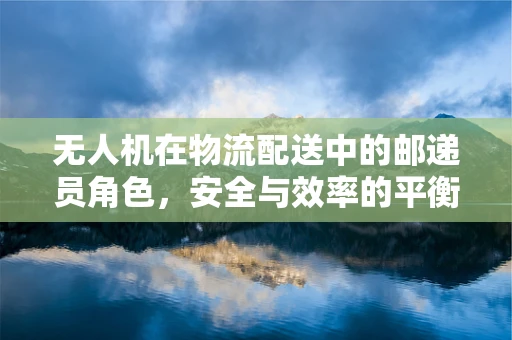 无人机在物流配送中的邮递员角色，安全与效率的平衡挑战