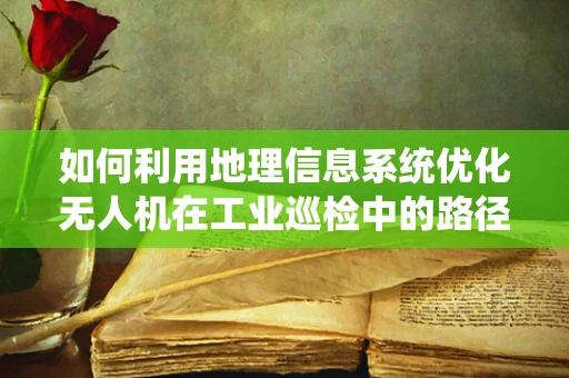如何利用地理信息系统优化无人机在工业巡检中的路径规划？