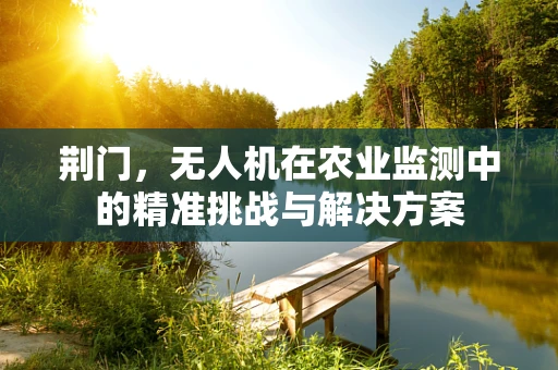 荆门，无人机在农业监测中的精准挑战与解决方案