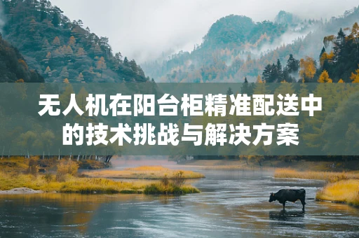 无人机在阳台柜精准配送中的技术挑战与解决方案