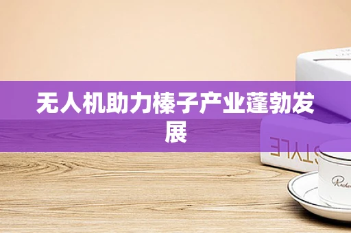 无人机助力榛子产业蓬勃发展