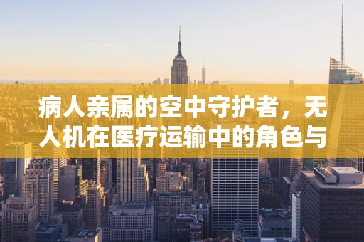 病人亲属的空中守护者，无人机在医疗运输中的角色与挑战