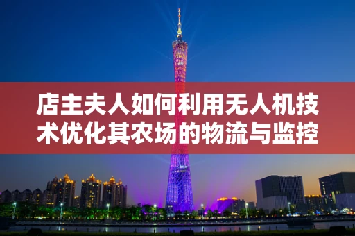 店主夫人如何利用无人机技术优化其农场的物流与监控？