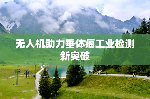 无人机助力垂体瘤工业检测新突破