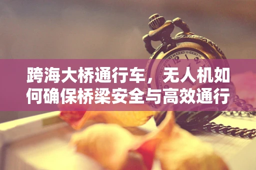 跨海大桥通行车，无人机如何确保桥梁安全与高效通行？