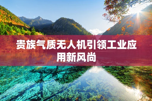 贵族气质无人机引领工业应用新风尚