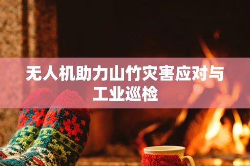 无人机助力山竹灾害应对与工业巡检