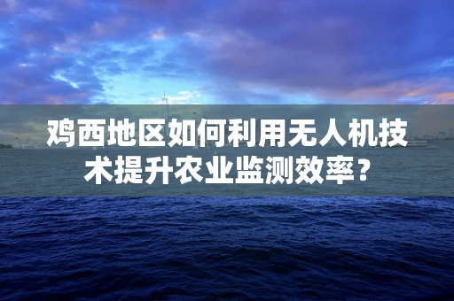鸡西地区如何利用无人机技术提升农业监测效率？