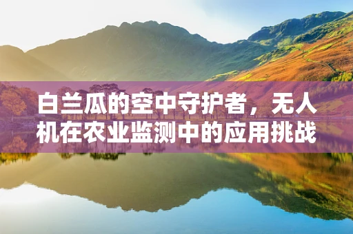 白兰瓜的空中守护者，无人机在农业监测中的应用挑战