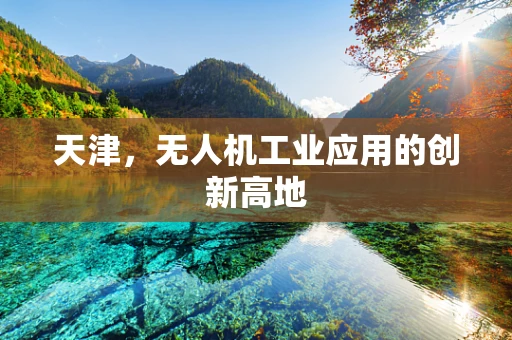 天津，无人机工业应用的创新高地