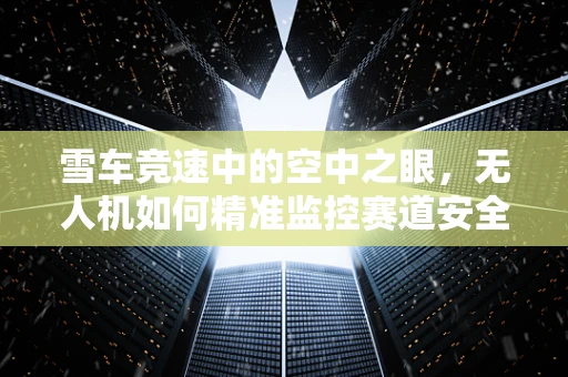 雪车竞速中的空中之眼，无人机如何精准监控赛道安全？