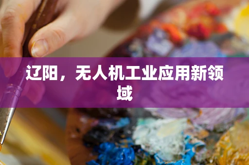 辽阳，无人机工业应用新领域