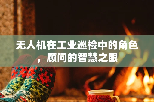 无人机在工业巡检中的角色，顾问的智慧之眼