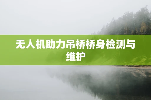 无人机助力吊桥桥身检测与维护