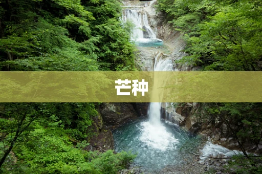 芒种