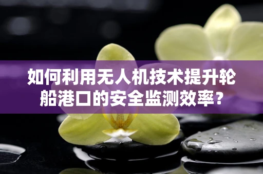 如何利用无人机技术提升轮船港口的安全监测效率？