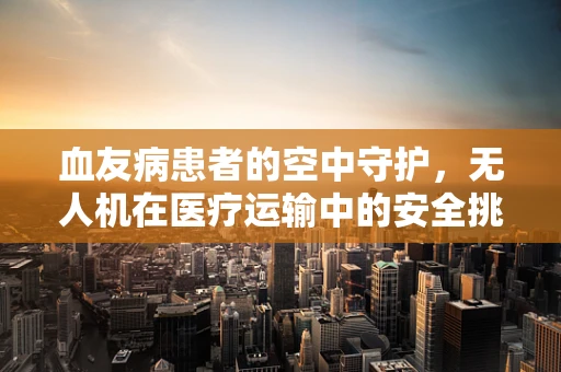 血友病患者的空中守护，无人机在医疗运输中的安全挑战