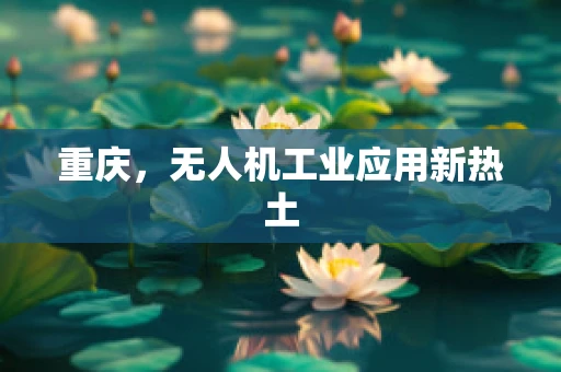重庆，无人机工业应用新热土