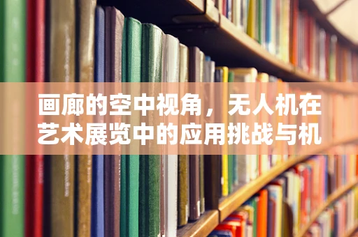 画廊的空中视角，无人机在艺术展览中的应用挑战与机遇