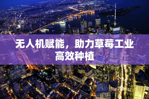 无人机赋能，助力草莓工业高效种植