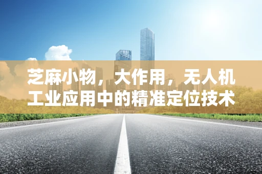芝麻小物，大作用，无人机工业应用中的精准定位技术挑战