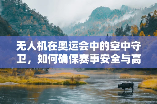 无人机在奥运会中的空中守卫，如何确保赛事安全与高效运行？