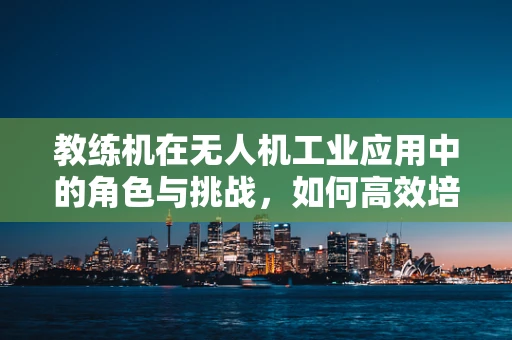 教练机在无人机工业应用中的角色与挑战，如何高效培养专业飞行员？