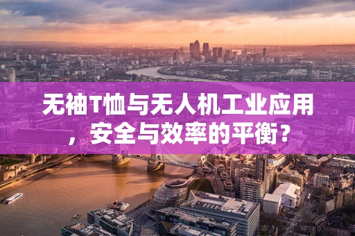 无袖T恤与无人机工业应用，安全与效率的平衡？