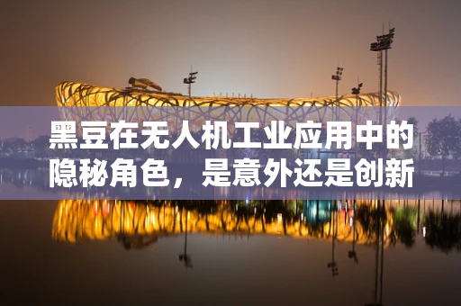 黑豆在无人机工业应用中的隐秘角色，是意外还是创新之选？