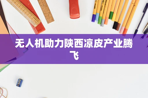 无人机助力陕西凉皮产业腾飞